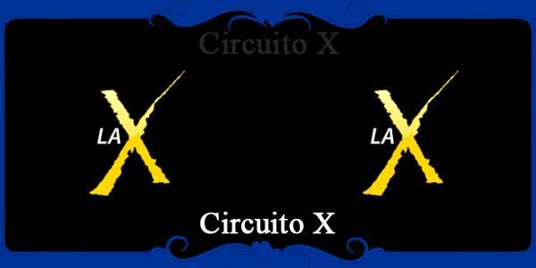 Circuito X