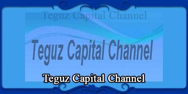 Teguz Capital Channel