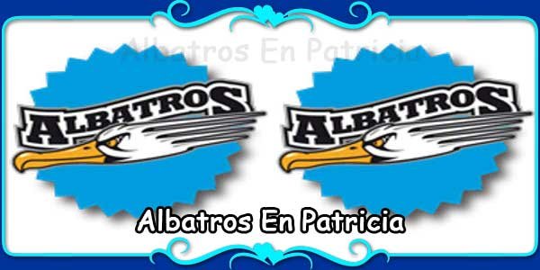 Albatros En Patricia